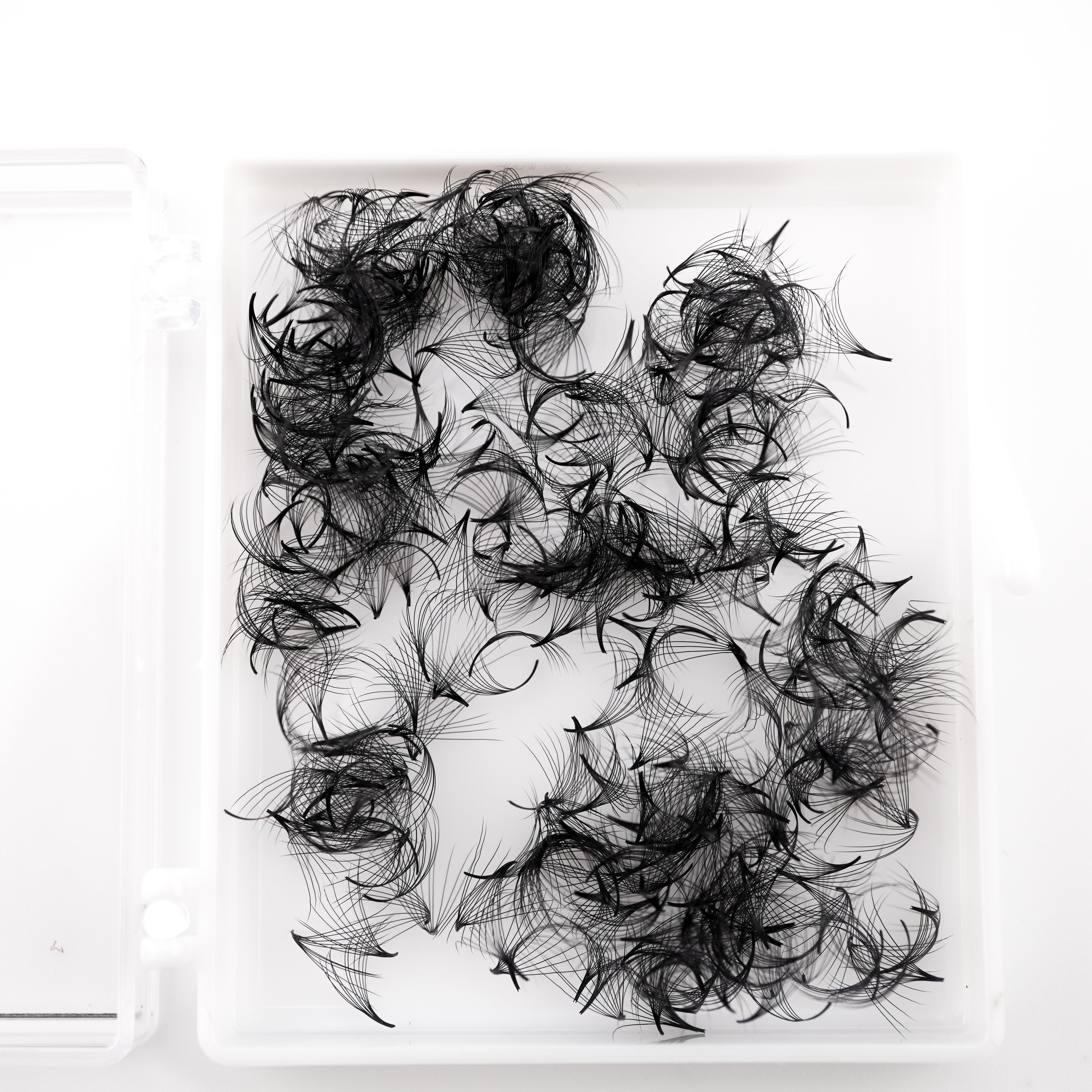 10D Pointy base Promade Fans lashes Russian Volume 0.05mm loose 500 Fans eyelash extension Lash Klan