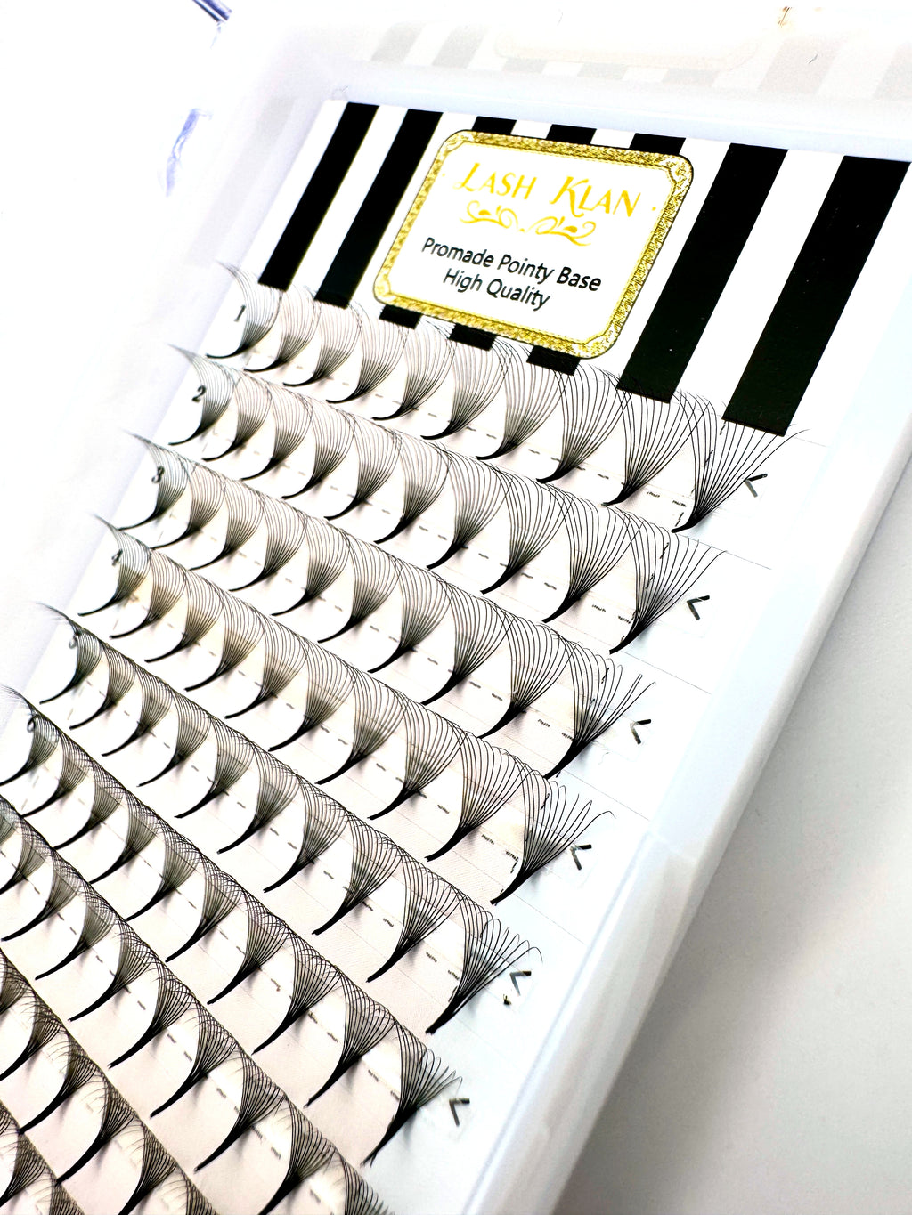 12D Premade fan lashes Russian Volume Fan lashes