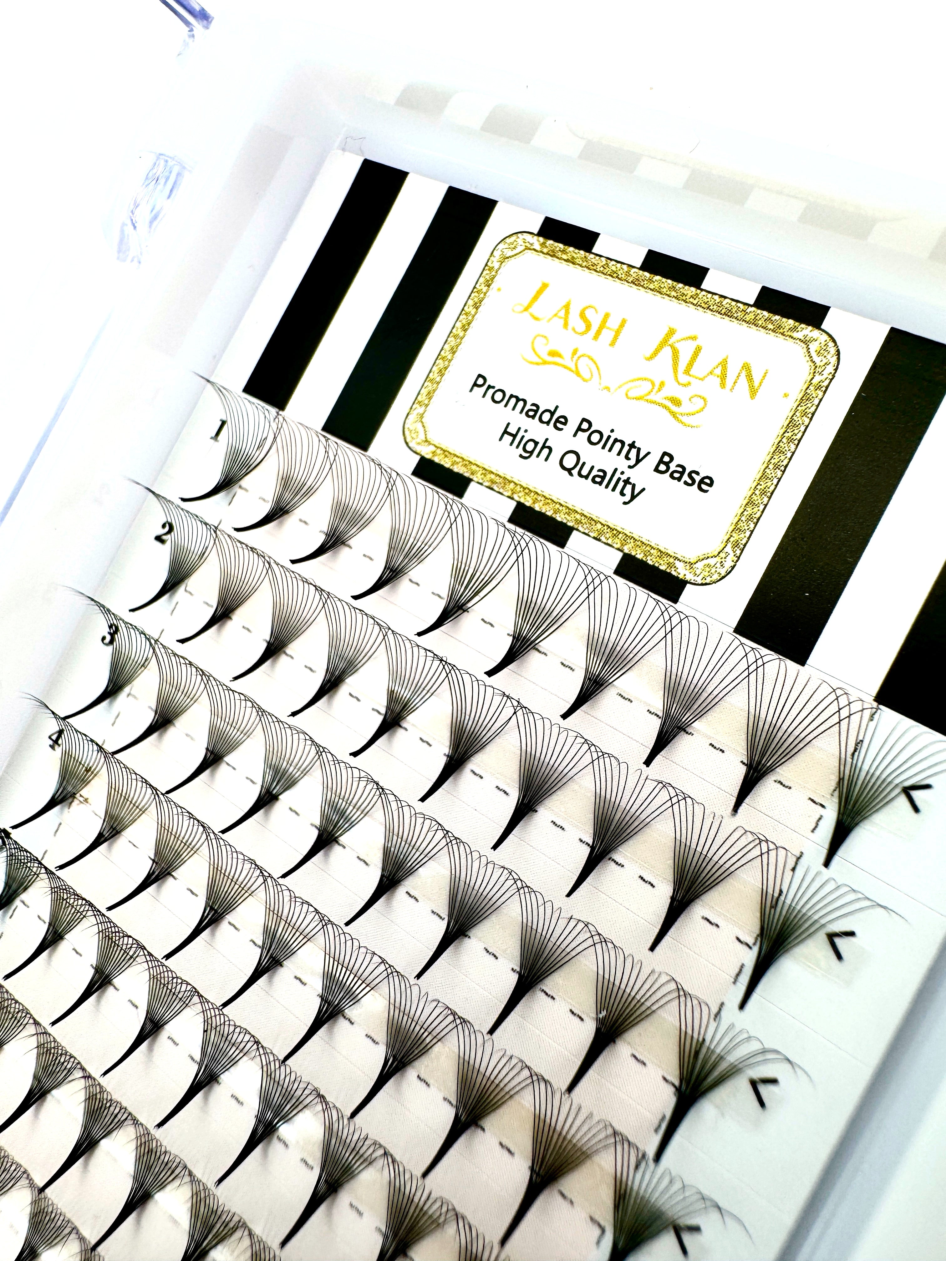 12D Premade fan lashes Russian Volume Fan lashes