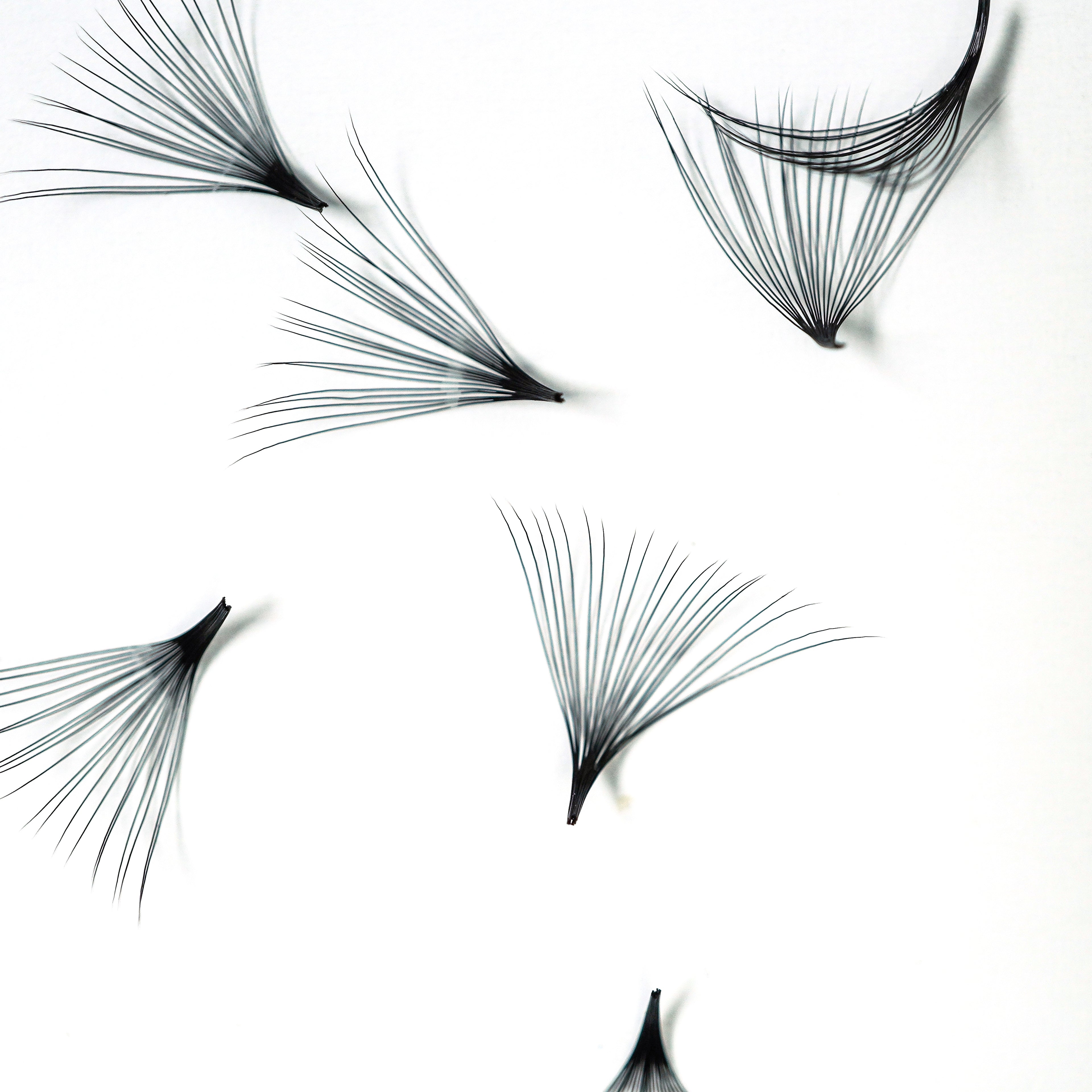 20D Pointy Pro made eyelash extension 0.05 thickness