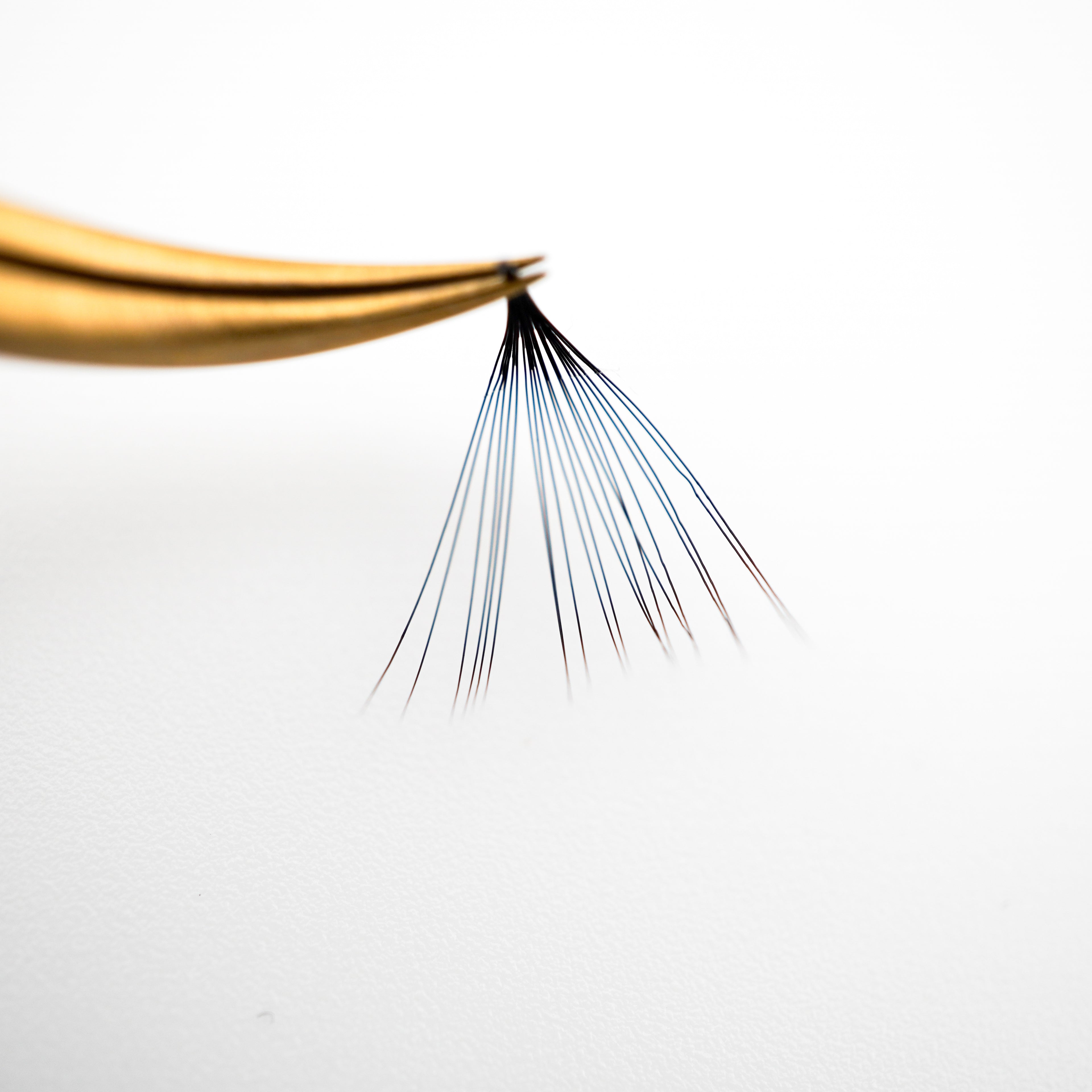 20D Loose Promade Russian Volume Fan lashes 0.05mm Pointy Base eyelash extension