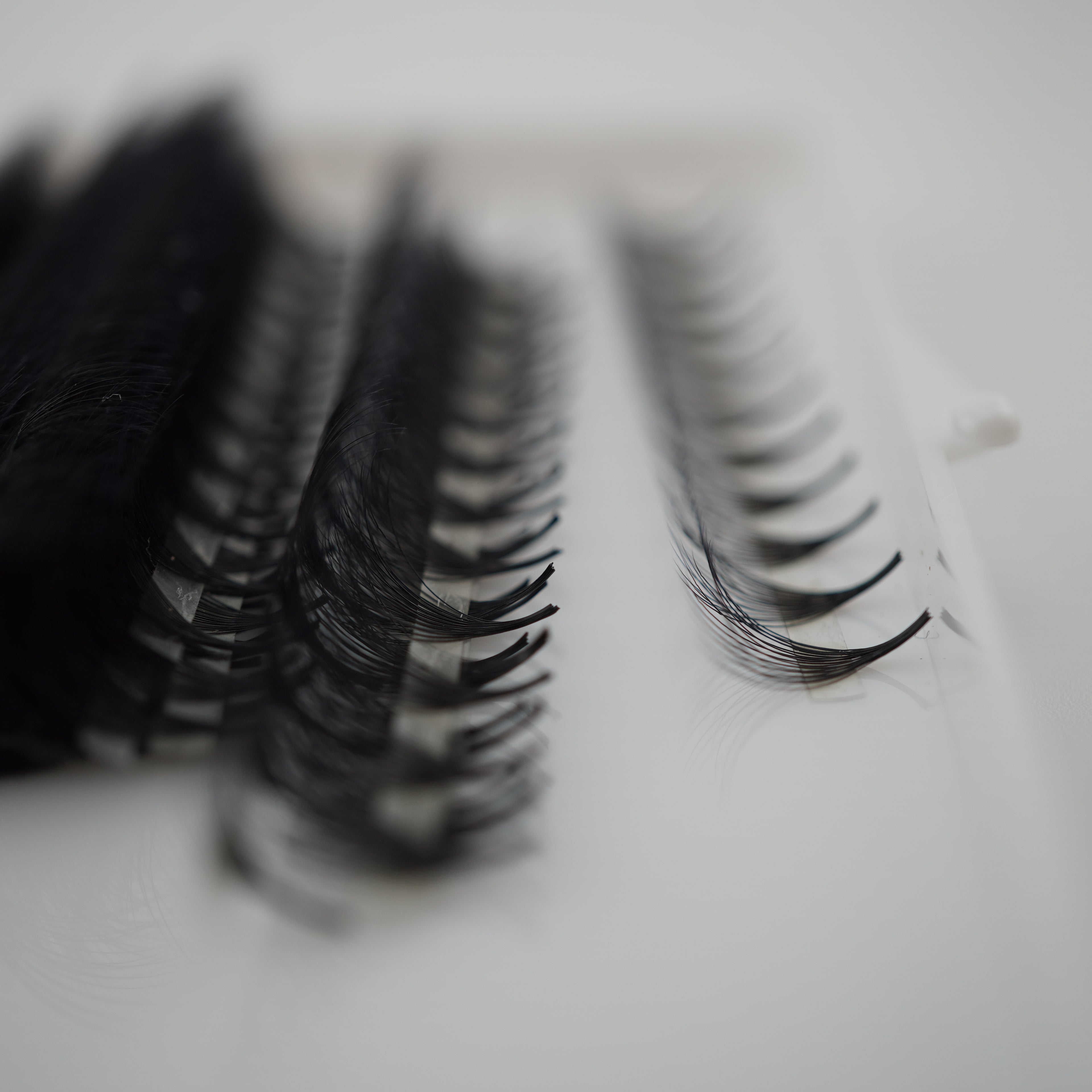 Double Layered Promade Volume Lashes 500 Fans 0.05mm