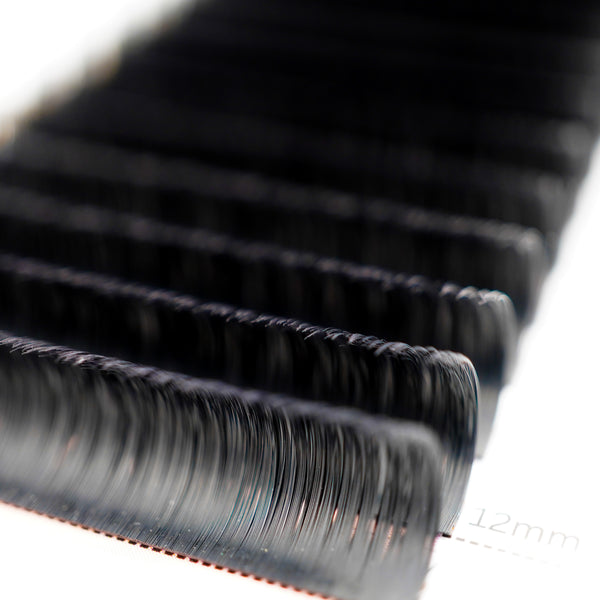 New Packaging Easy Fan Auto Fanning lashes Camelia 0.07mm Black extensions