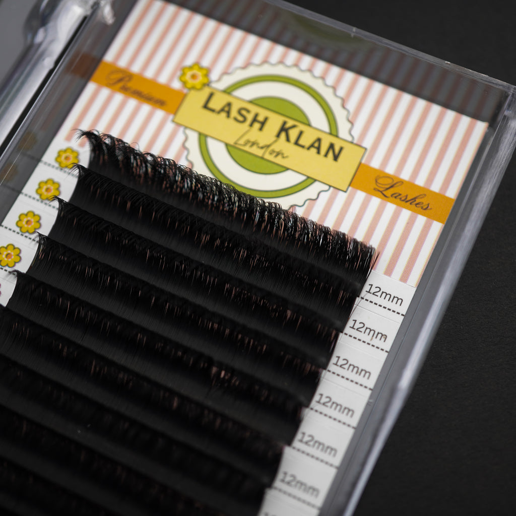 New Packaging Easy Fan Auto Fanning lashes Camelia 0.07mm Black extensions