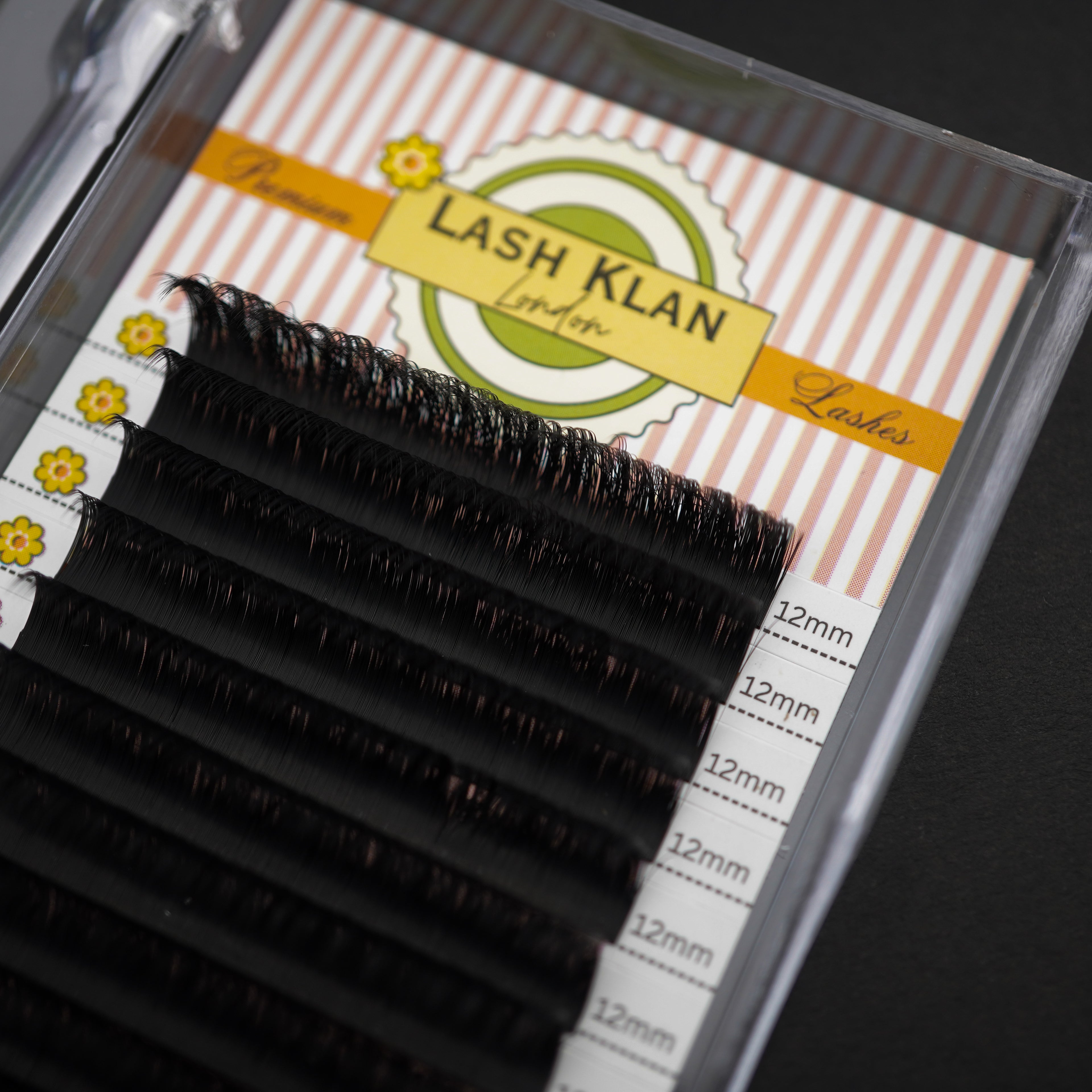 New Packaging Easy Fan Auto Fanning lashes Camelia 0.07mm Black extensions