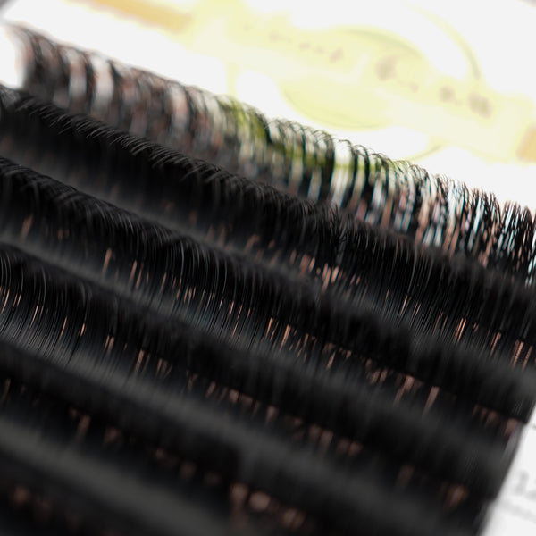 New Packaging Easy Fan Auto Fanning lashes Camelia 0.07mm Black extensions