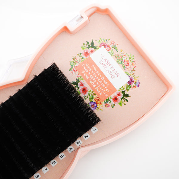 Easy Fan Auto Fanning lashes Camelia CLEARANCE SALE