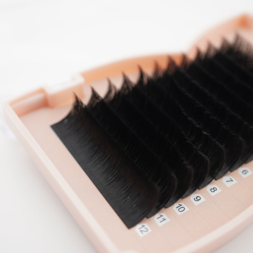 Easy Fan Auto Fanning lashes Camelia 0.07mm CLEARANCE SALE