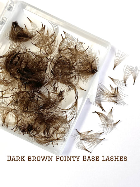 10D Pointy Promade Dark Brown lashes 0.07 thickness 500 Fans