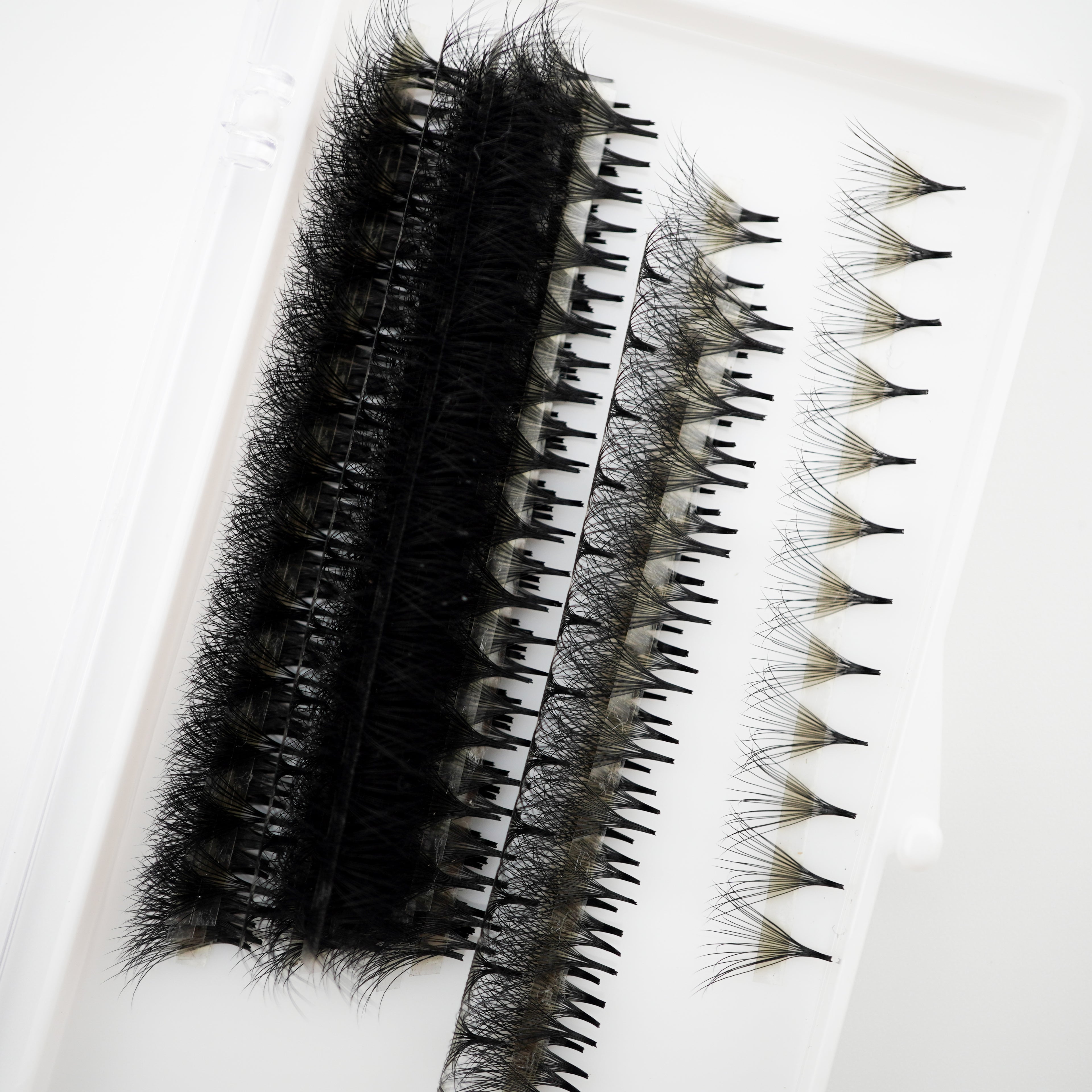 Double Layered Promade Volume Lashes 500 Fans 0.05mm