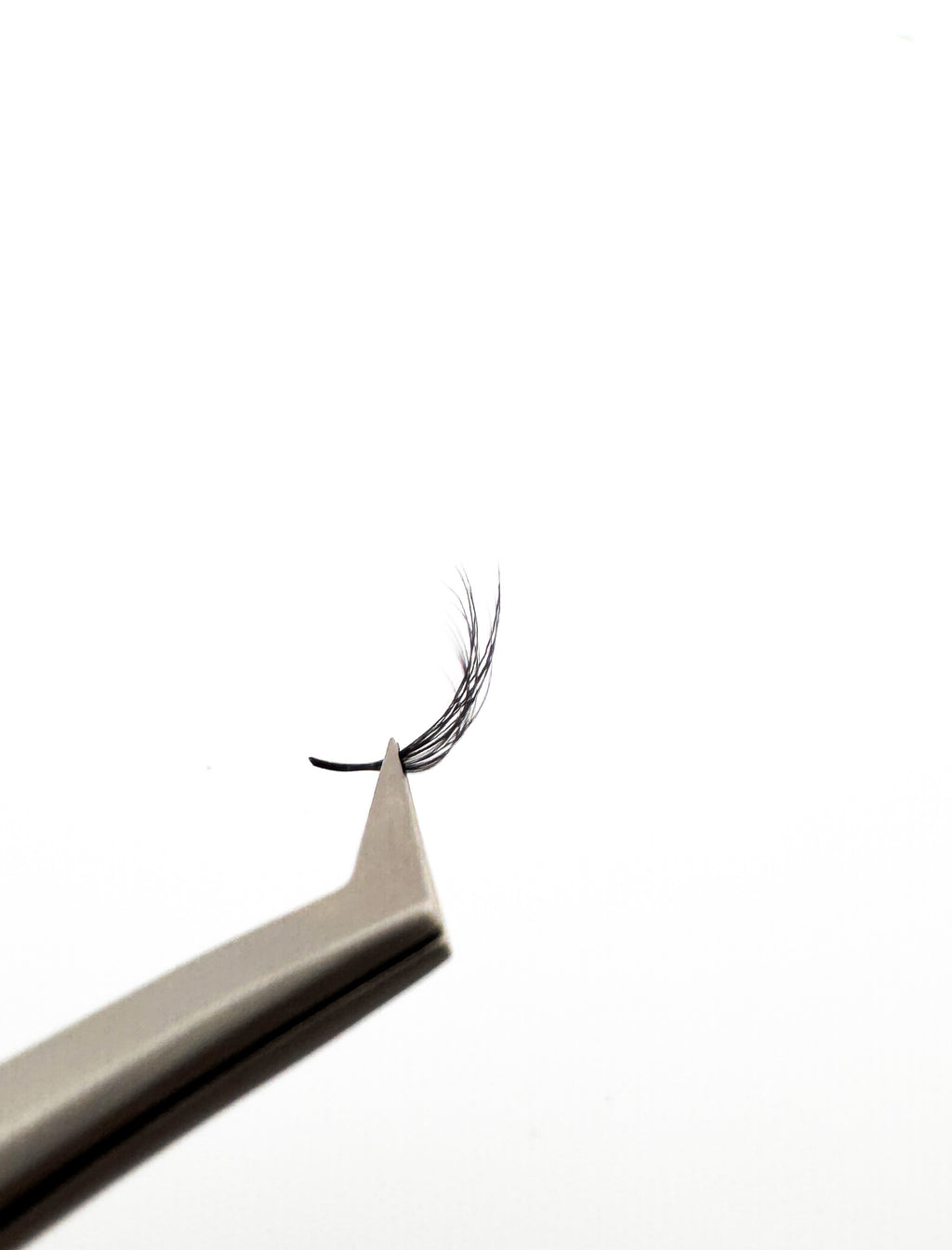 Double layered Pro made Volume Lashes 100 Fans