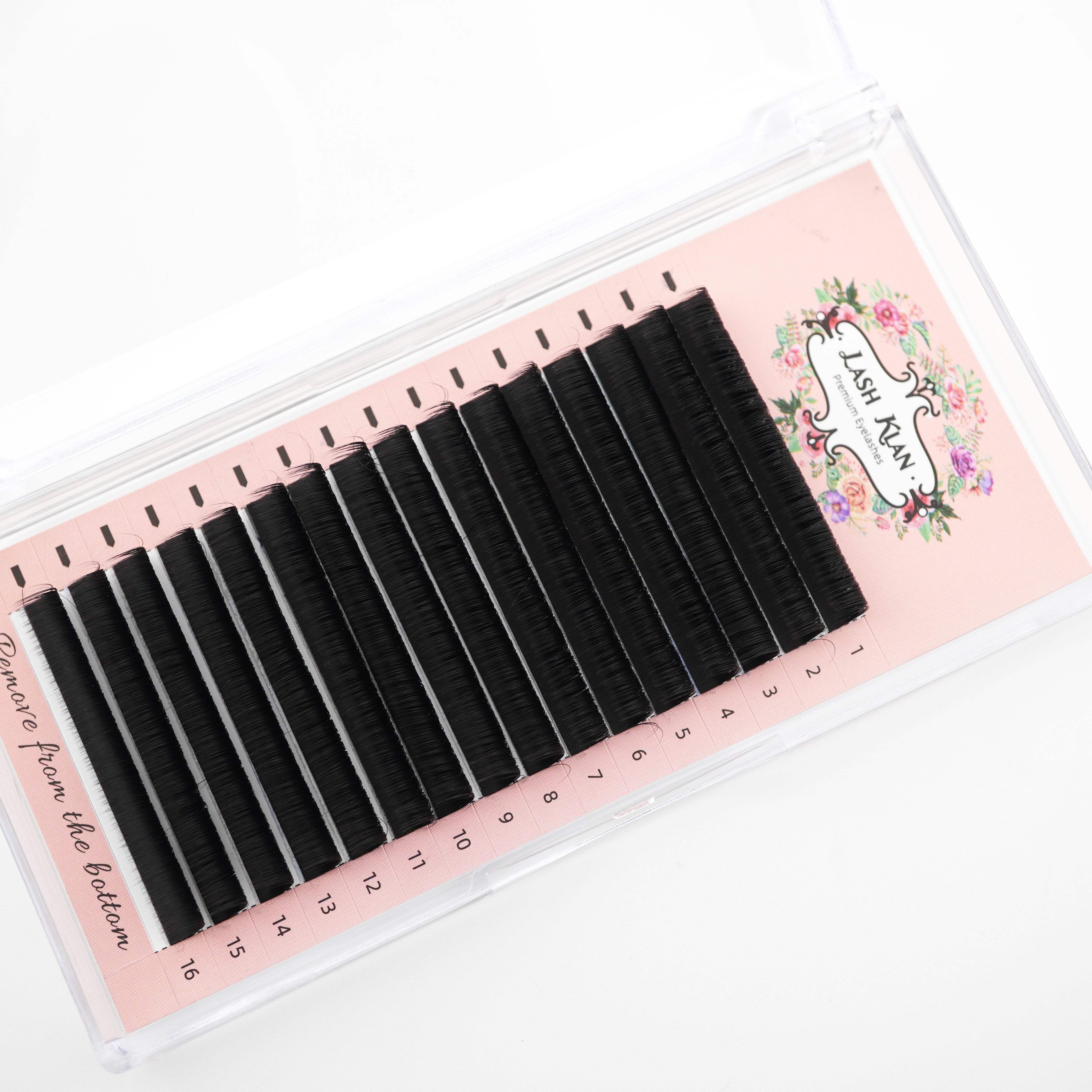 Easy Fan Auto Fanning lashes Camelia CLEARANCE SALE DD Curl