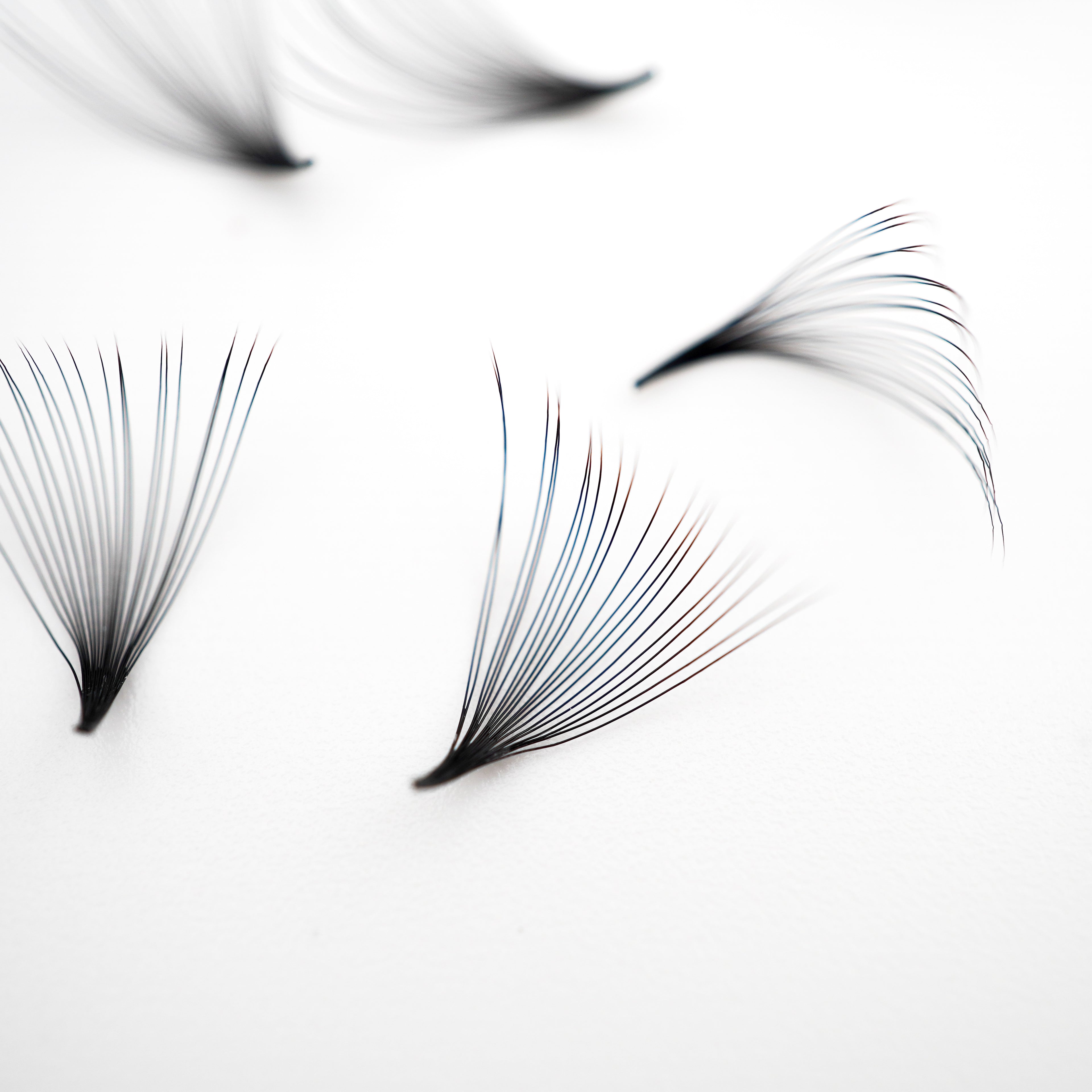 20D Loose Promade Russian Volume Fan lashes 0.05mm Pointy Base eyelash extension