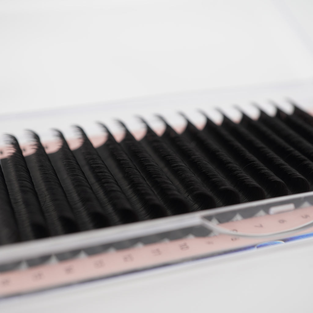 Easy Fan Auto Fanning lashes Camelia CLEARANCE SALE DD Curl