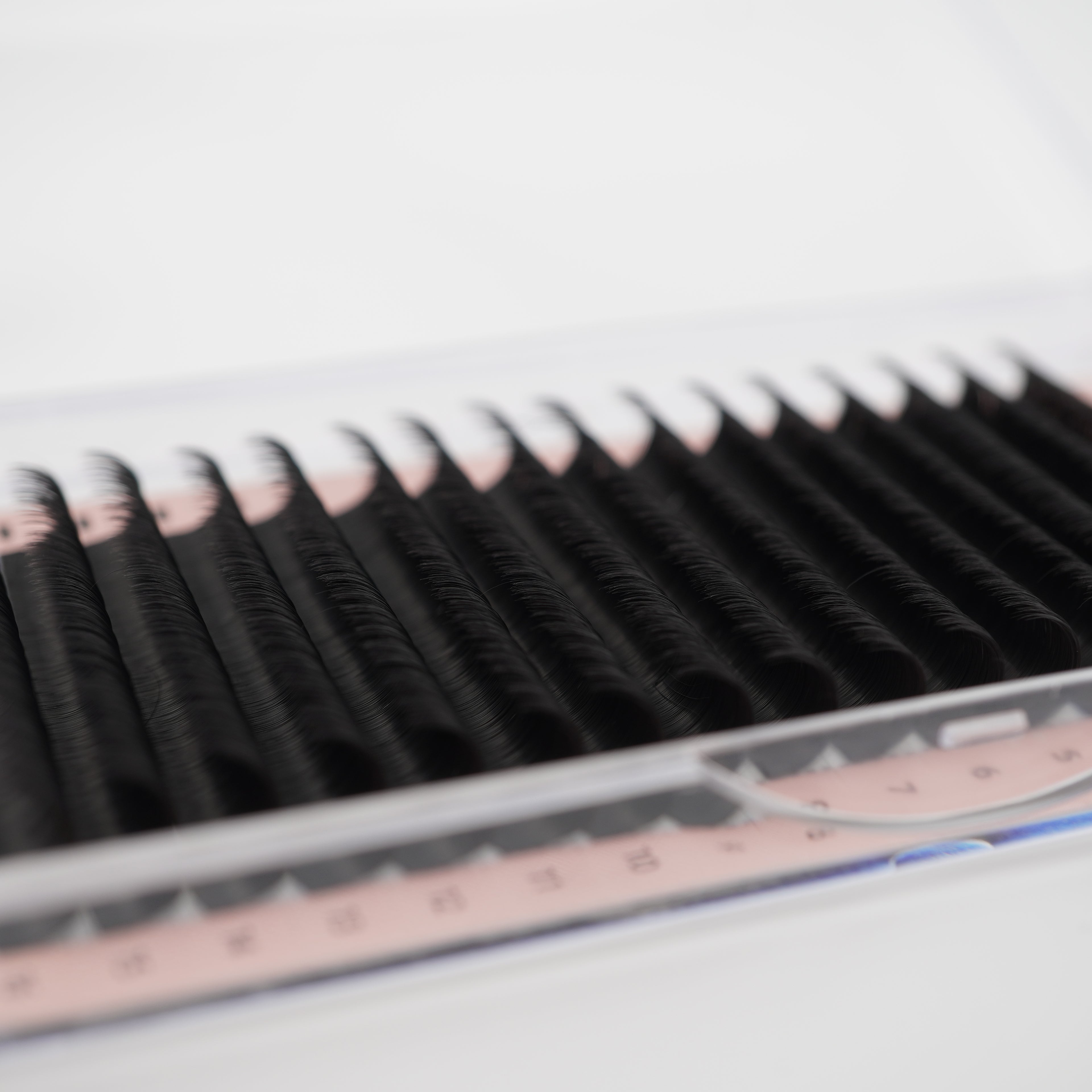 Easy Fan Auto Fanning lashes Camelia CLEARANCE SALE DD Curl
