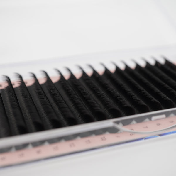 Easy Fan Auto Fanning lashes Camelia CLEARANCE SALE DD Curl