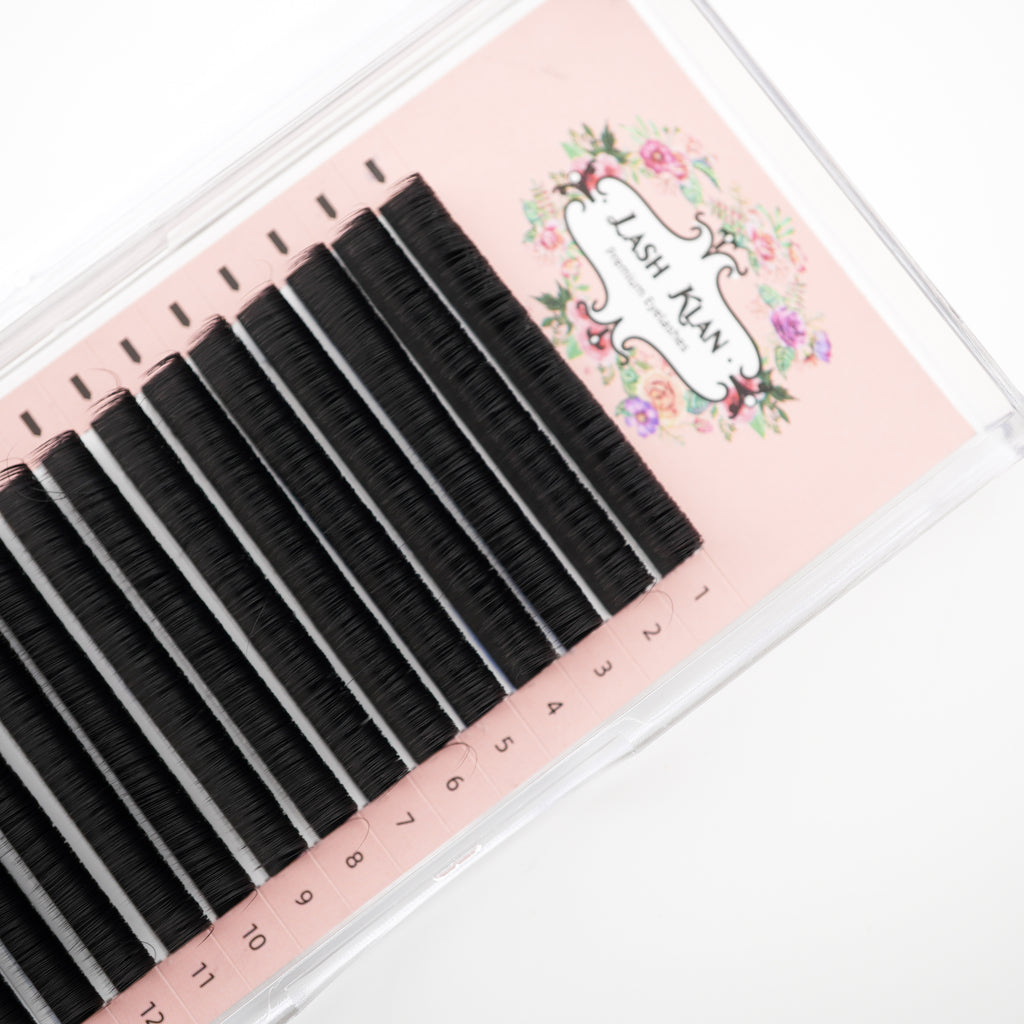 Easy Fan Auto Fanning lashes Camelia CLEARANCE SALE DD Curl